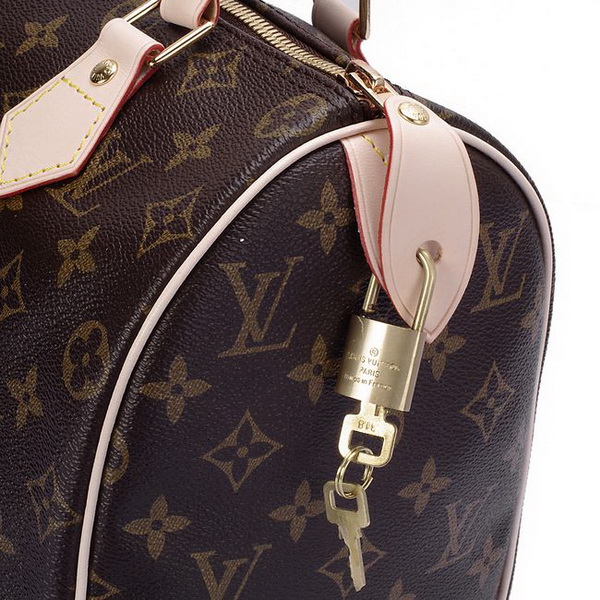 Louis Vuitton Monogram Canvas Speedy 25 M41528